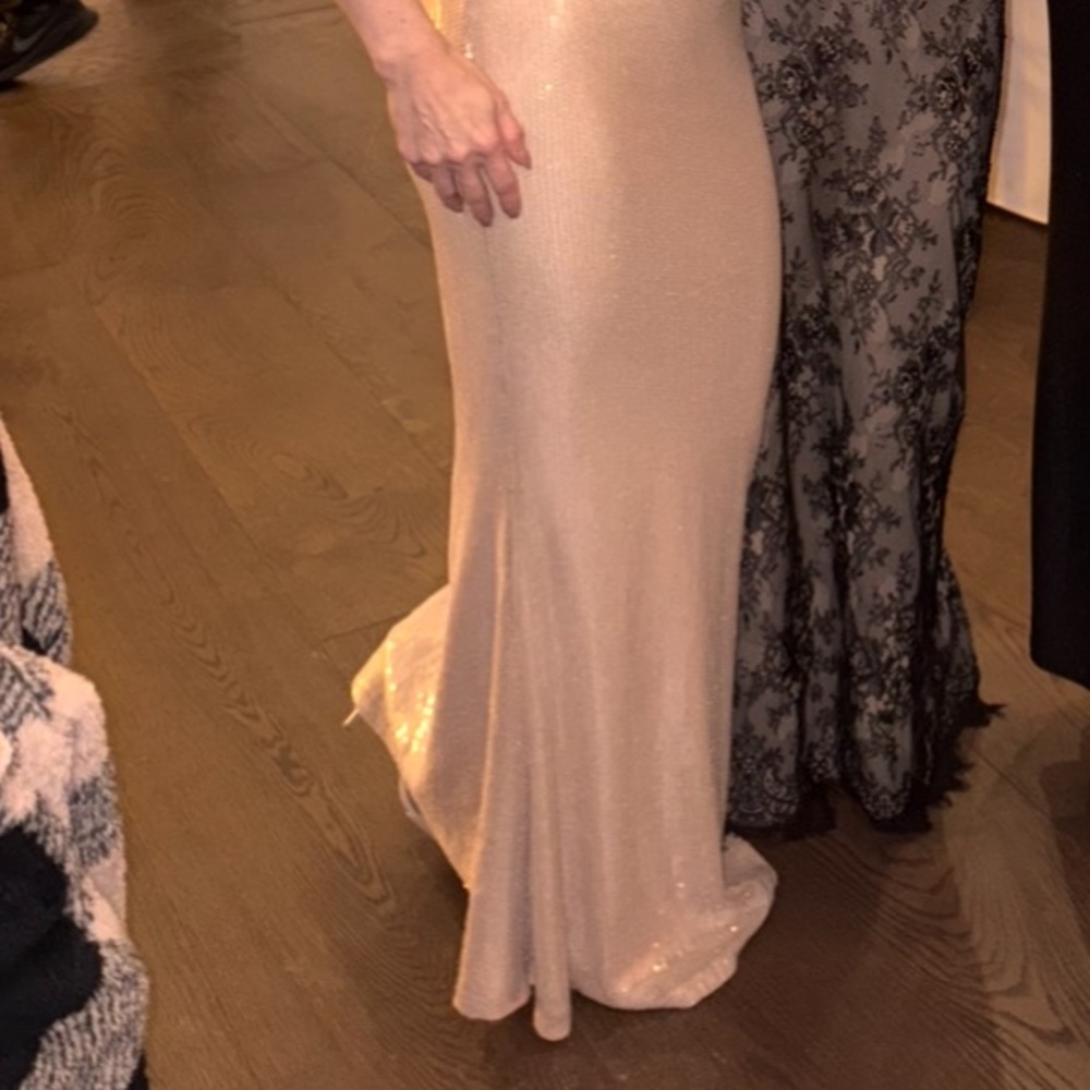 REVOLVE Runway The Label Shira Shimmering Sequin Maxi Dress in Nude - Picture 5 of 5
